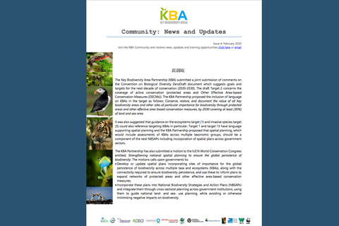 KBA Community Newsletter February 2020