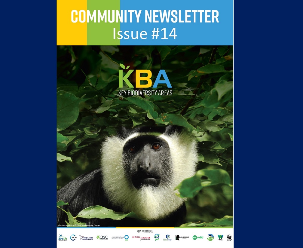 KBA Community Newsletter August 2023