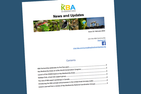 KBA Community Newsletter February 2022