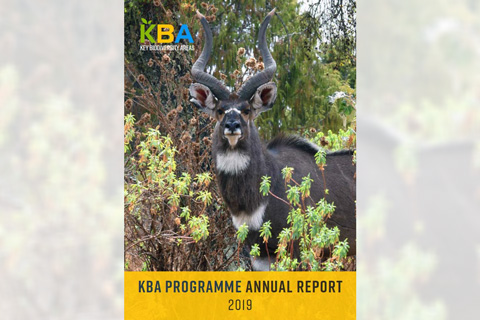 annual report 2019