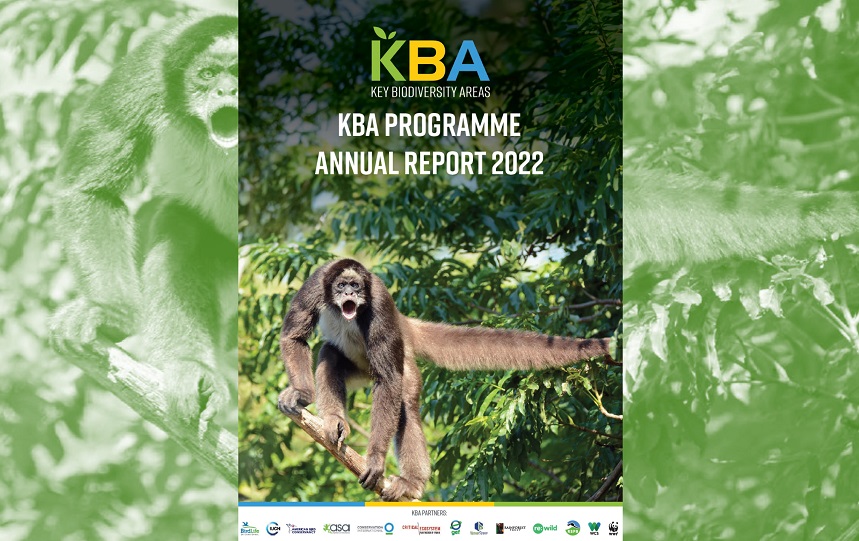 annual report 2022