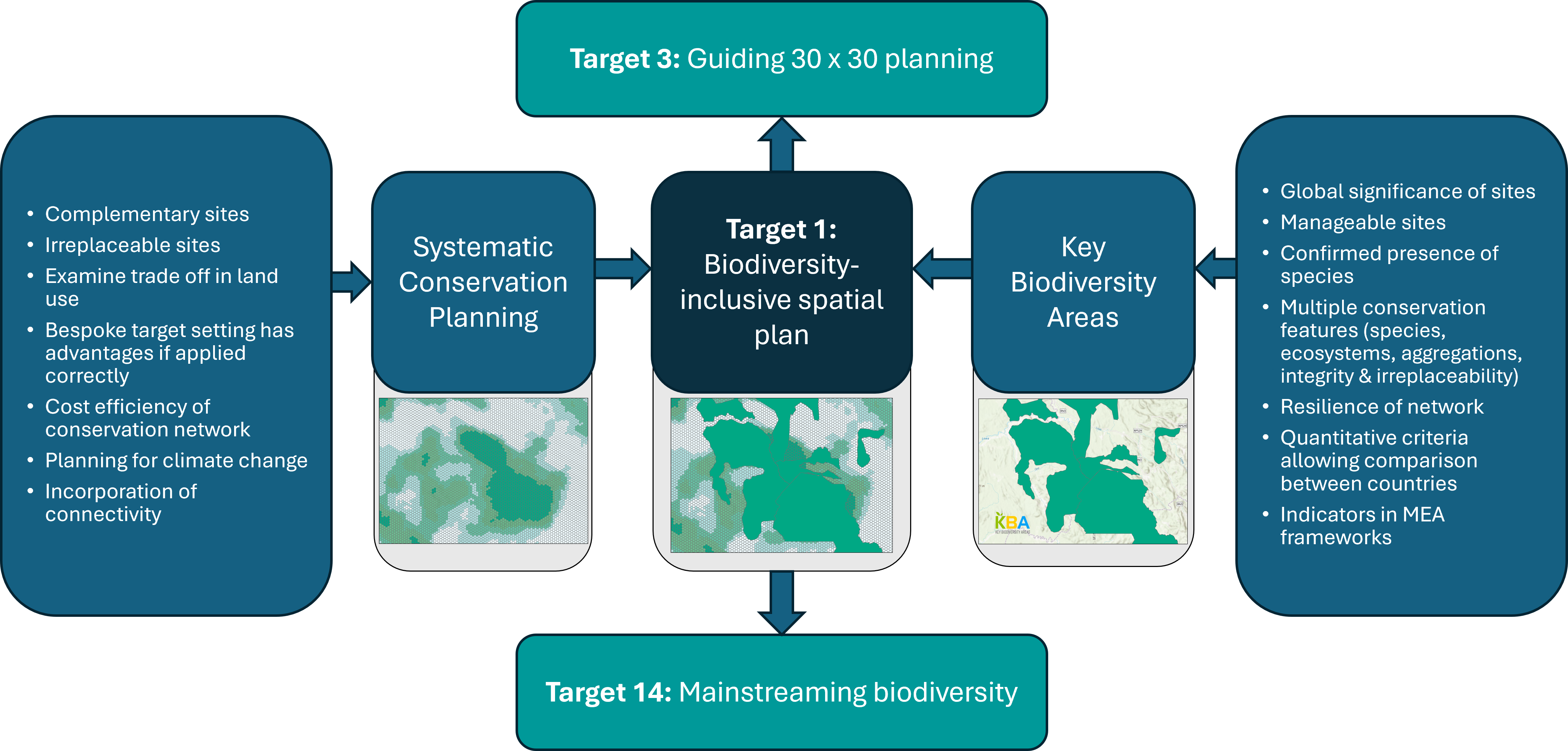 Spatial Niche Partitioning: A Key To Biodiversity   Examples Explained - ympqqa6