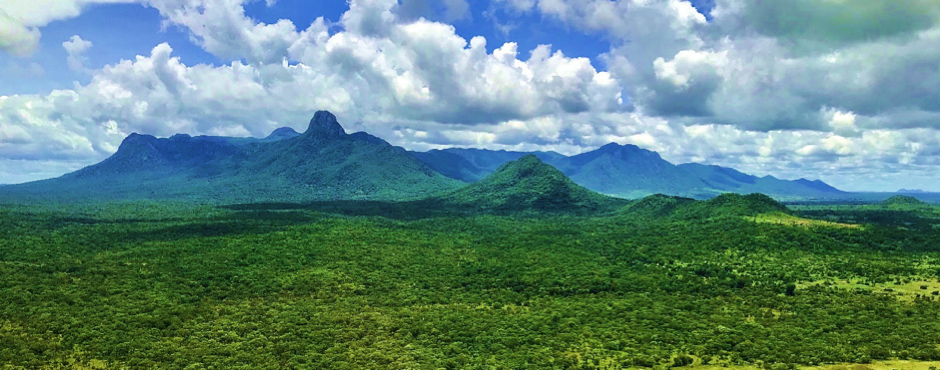 Niassa Special Reserve KBA